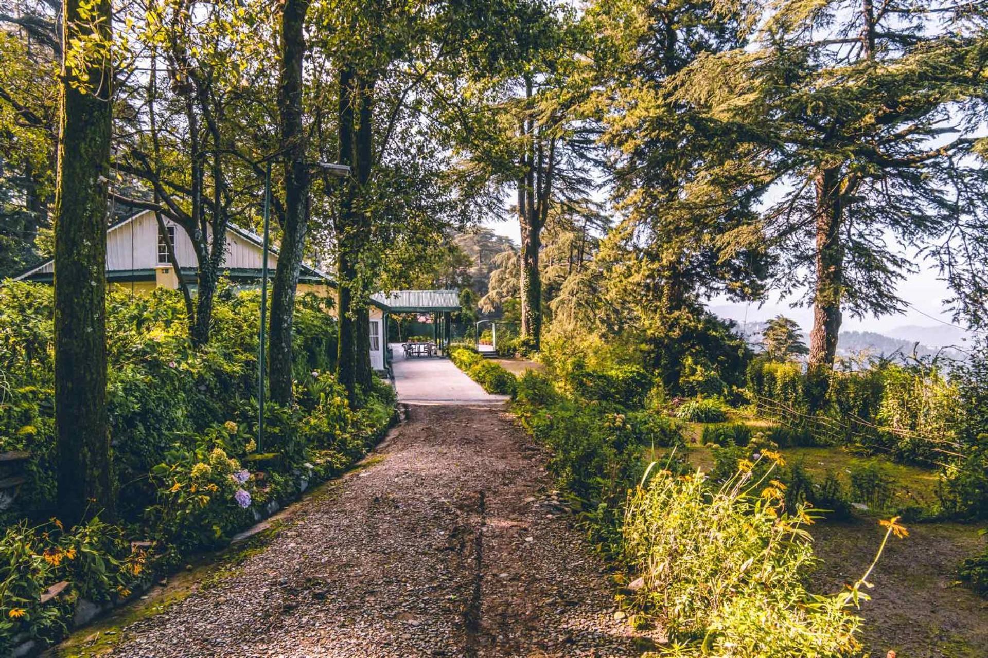 Stayvista At Rose Cottage - Bonfire & Scenic View Шимла Екстериор снимка